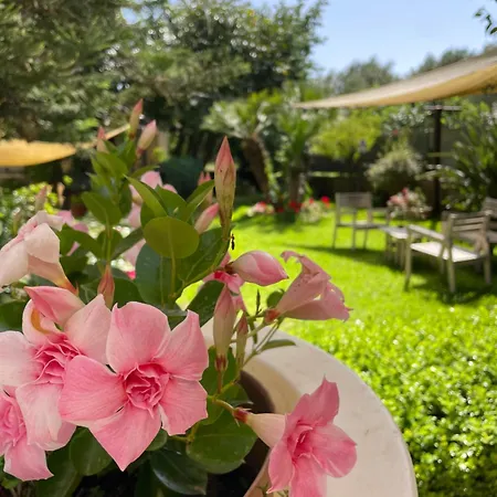 Aparthotel Da Carmelo 3*