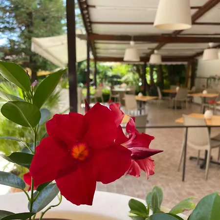 Aparthotel Da Carmelo Palinuro