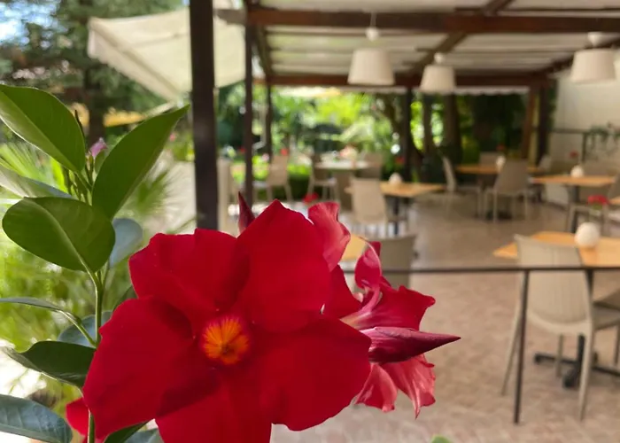 Lägenhetshotell Da Carmelo Palinuro